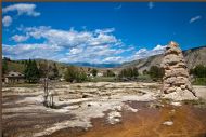 Liberty cap